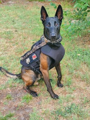 K9 IIIA DOG VEST