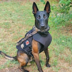 K9 IIIA DOG VEST